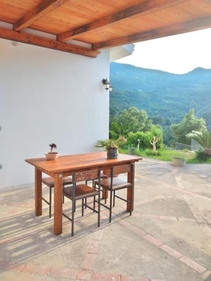 Holiday Apartment Villa Camilla Cefalù Εξωτερικό φωτογραφία