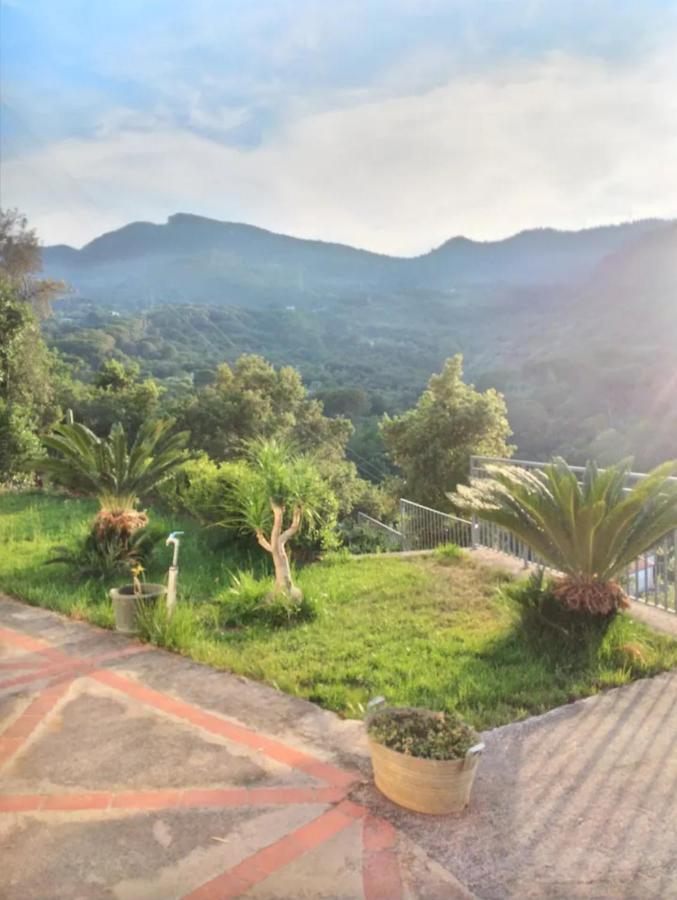 Holiday Apartment Villa Camilla Cefalù Εξωτερικό φωτογραφία